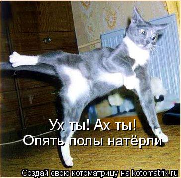 Ух ты! Ах ты! Опять полы натёрли... Котоматрица: Ух ты! Ах ты! Опять полы натёрли