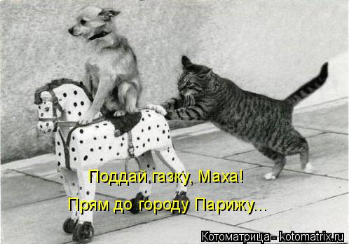 Поддай газку, Маха! Прям до городу Парижу...... Котоматрица: Поддай газку, Маха! Прям до городу Парижу...