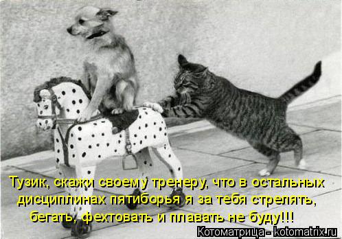 Котоматрица: Тузик, скажи своему тренеру, что в остальных дисциплинах пятиборья я за тебя стрелять, бегать, фехтовать и плавать не буду!!!