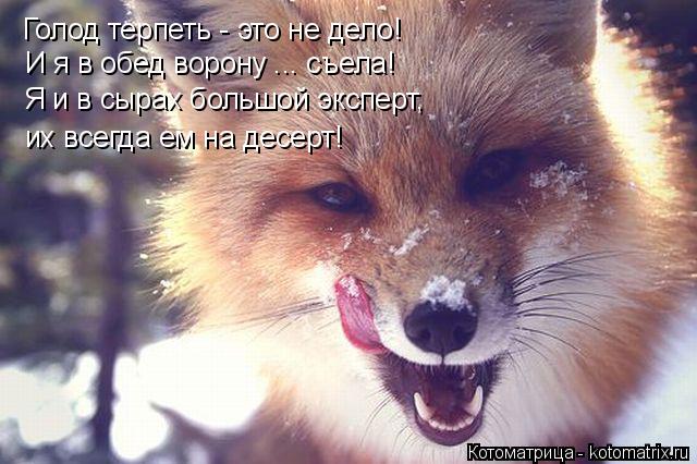 Голод терпеть - это не дело! И я в обед ворону ... съела! Я и в сырах большой эксперт, их всегда ем н... Котоматрица: Голод терпеть - это не дело! И я в обед ворону ... съела! Я и в сырах большой эксперт, их всегда ем на десерт!