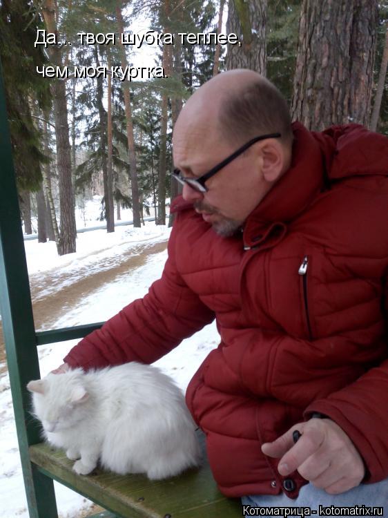 Да... твоя шубка теплее, чем моя куртка.... Котоматрица: Да... твоя шубка теплее, чем моя куртка.