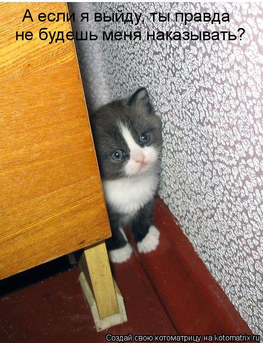 А если я выйду, ты правда не будешь меня наказывать?... Котоматрица: А если я выйду, ты правда не будешь меня наказывать?