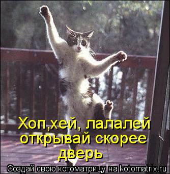 Хоп,хей, лалалей открывай скорее дверь... Котоматрица: Хоп,хей, лалалей открывай скорее дверь