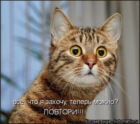 всё, что я захочу, теперь можно? ПОВТОРИ!!!... Котоматрица: всё, что я захочу, теперь можно? ПОВТОРИ!!!