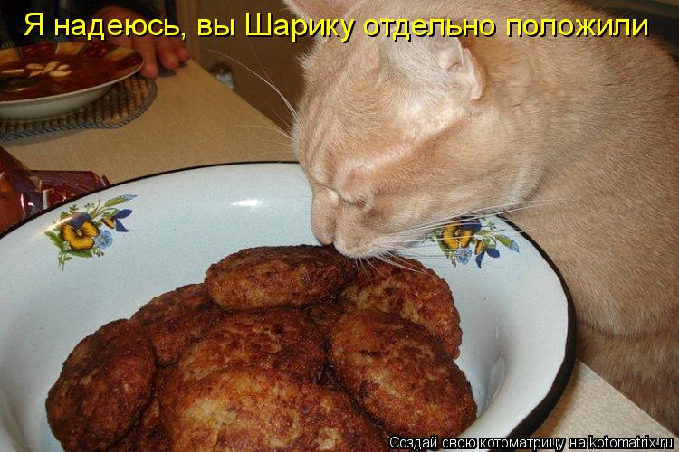 Котоматрица: Я надеюсь, вы Шарику отдельно положили