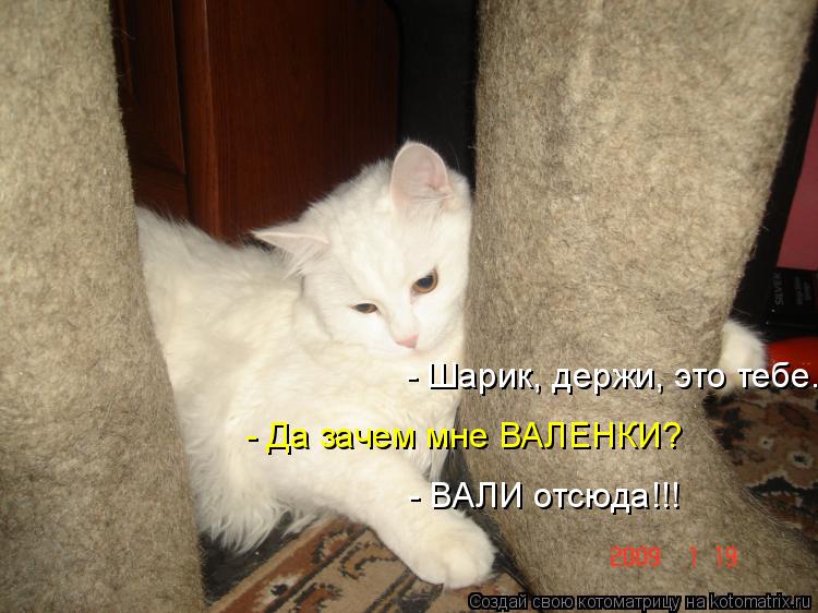 - ВАЛИ отсюда!!! - Шарик, держи, это тебе. - Да зачем мне ВАЛЕНКИ?... Котоматрица: - ВАЛИ отсюда!!! - Шарик, держи, это тебе. - Да зачем мне ВАЛЕНКИ?