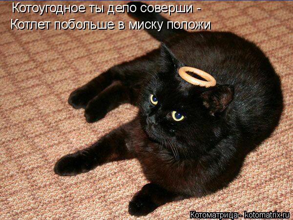 Котоугодное ты дело соверши - Котлет побольше в миску положи... Котоматрица: Котоугодное ты дело соверши - Котлет побольше в миску положи
