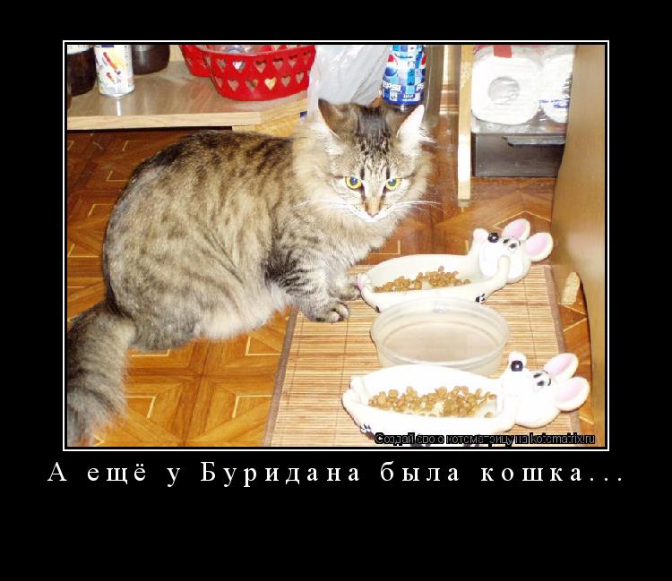 Котоматрица: А ещё у Буридана была кошка... 