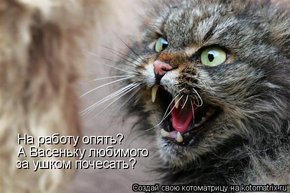 На работу опять? А Васеньку любимого за ушком почесать?... Котоматрица: На работу опять? А Васеньку любимого за ушком почесать?
