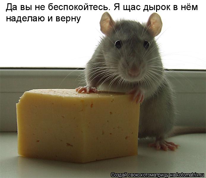 Да вы не беспокойтесь. Я щас дырок в нём наделаю и верну... Котоматрица: Да вы не беспокойтесь. Я щас дырок в нём наделаю и верну
