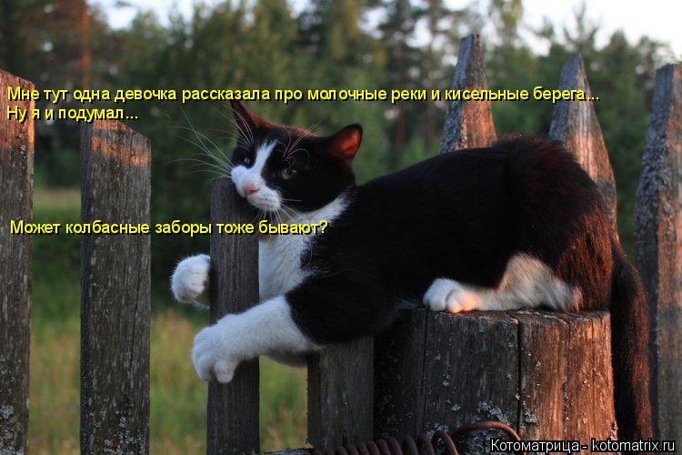 Котоматрица: Мне тут одна девочка рассказала про молочные реки и кисельные берега... Ну я и подумал... Может колбасные заборы тоже бывают?