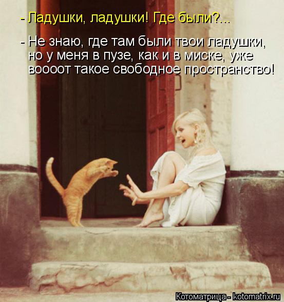- Ладушки, ладушки! Где были?... - Не знаю, где там были твои ладушки, но у меня в пузе, как и в миск... Котоматрица: - Ладушки, ладушки! Где были?... - Не знаю, где там были твои ладушки, но у меня в пузе, как и в миске, уже воооот такое свободное пространство!