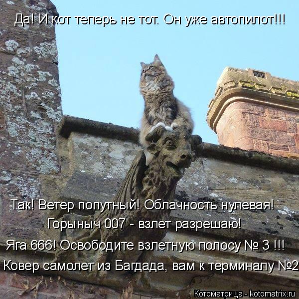 Горыныч 007 - взлет разрешаю! Яга 666! Освободите взлетную полосу № 3 !!! Ковер самолет из Багдада, в... Котоматрица: Горыныч 007 - взлет разрешаю! Яга 666! Освободите взлетную полосу № 3 !!! Ковер самолет из Багдада, вам к терминалу №2!!! Да! И кот теперь не тот. Он