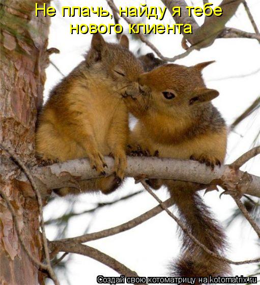 Не плачь, найду я тебе нового клиента... Котоматрица: Не плачь, найду я тебе нового клиента