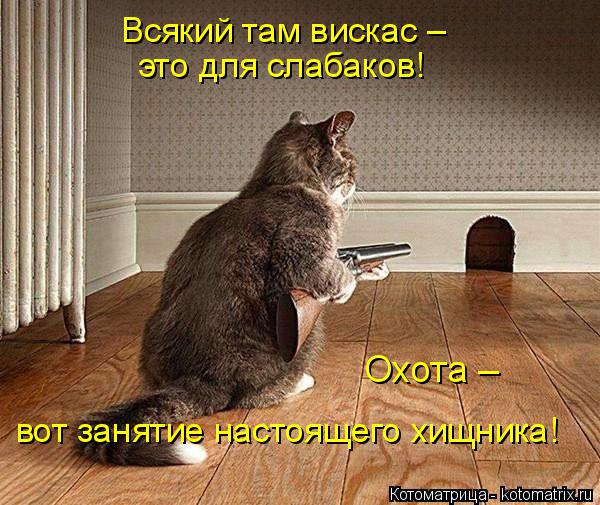 Всякий там вискас – это для слабаков! Охота – вот занятие настоящего хищника!... Котоматрица: Всякий там вискас – это для слабаков! Охота – вот занятие настоящего хищника!