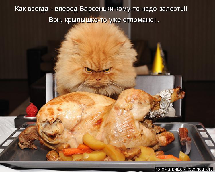 Котоматрица: Как всегда - вперед Барсеньки кому-то надо залезть!! Вон, крылышко-то уже отломано!..