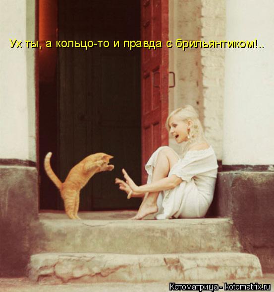 Ух ты, а кольцо-то и правда с брильянтиком!..... Котоматрица: Ух ты, а кольцо-то и правда с брильянтиком!..