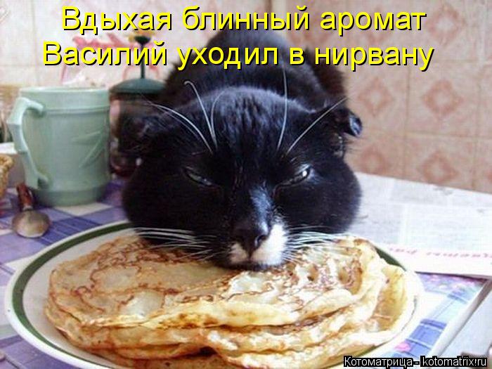 Вдыхая блинный аромат Василий уходил в нирвану... Котоматрица: Вдыхая блинный аромат Василий уходил в нирвану