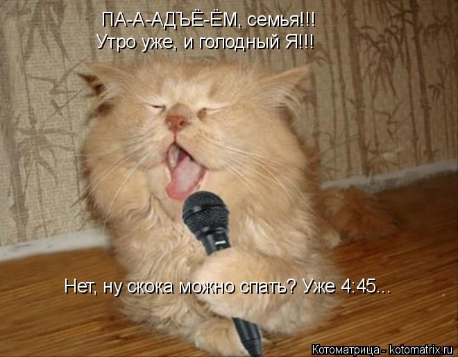 ПА-А-АДЪЁ-ЁМ, семья!!! Утро уже, и голодный Я!!! Нет, ну скока можно спать? Уже 4:45...... Котоматрица: ПА-А-АДЪЁ-ЁМ, семья!!! Утро уже, и голодный Я!!! Нет, ну скока можно спать? Уже 4:45...