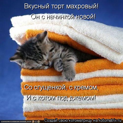 Вкусный торт махровый! Он с начинкой новой! Со сгущенкой, с кремом, И с котом под джемом! И с ко... Котоматрица: Вкусный торт махровый! Он с начинкой новой! Со сгущенкой, с кремом, И с котом под джемом! И с котом под джемом!