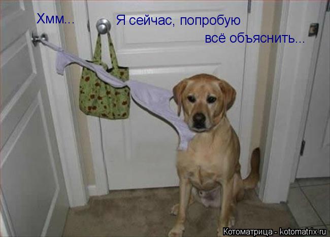 Котоматрица: Хмм... Я сейчас, попробую всё объяснить...