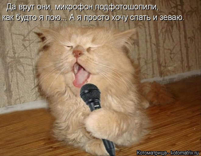 Котоматрица: Да врут они, микрофон подфотошопили, как будто я пою... А я просто хочу спать и зеваю.