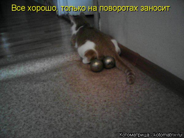 Котоматрица: Все хорошо, только на поворотах заносит