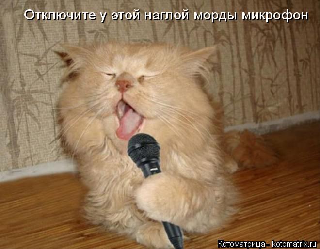 Котоматрица: Отключите у этой наглой морды микрофон