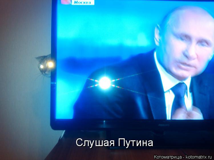 Котоматрица: Слушая Путина