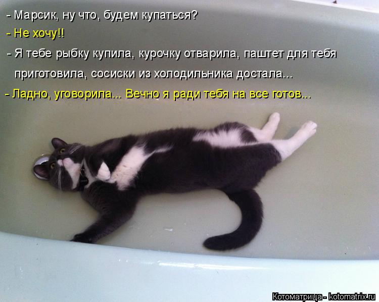 - Марсик, ну что, будем купаться? - Не хочу!! - Я тебе рыбку купила, курочку отварила, паштет для теб... Котоматрица: - Марсик, ну что, будем купаться? - Не хочу!! - Я тебе рыбку купила, курочку отварила, паштет для тебя приготовила, сосиски из холодильника дост
