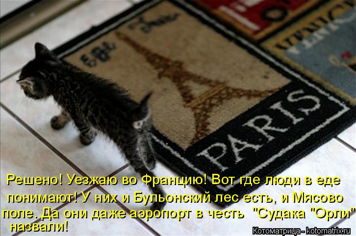 Котоматрица: Решено! Уезжаю во Францию! Вот где люди в еде понимают! У них и Бульонский лес есть, и Мясово  поле. Да они даже аэропорт в честь  "Судака "Орли" 