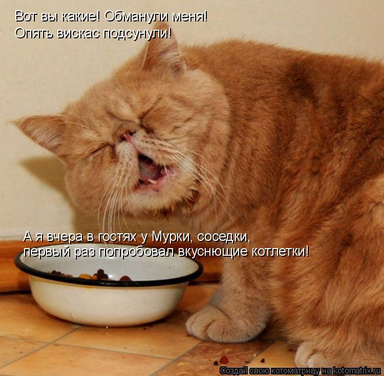Котоматрица: Вот вы какие! Обманули меня! Опять вискас подсунули! А я вчера в гостях у Мурки, соседки,  первый раз попробовал вкуснющие котлетки!