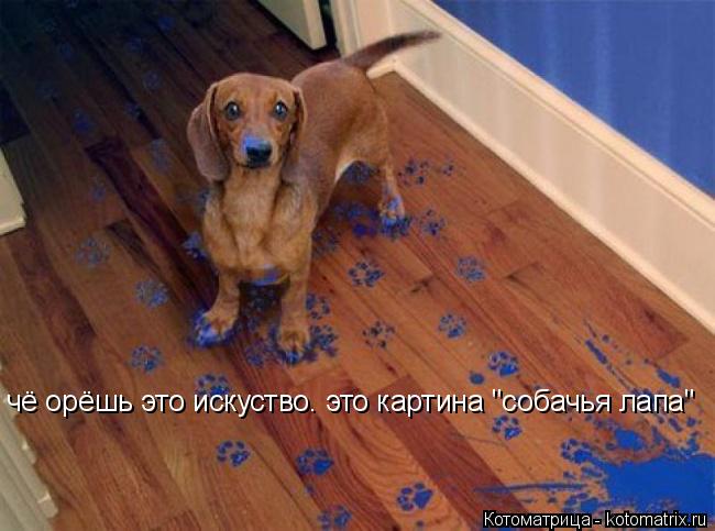 чё орёшь это искуство. это картина "собачья лапа"... Котоматрица: чё орёшь это искуство. это картина "собачья лапа"