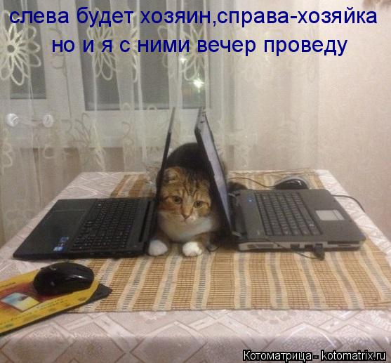 слева будет хозяин,справа-хозяйка но и я с ними вечер проведу... Котоматрица: слева будет хозяин,справа-хозяйка но и я с ними вечер проведу