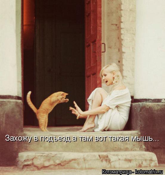 Захожу в подъезд.а там вот такая мышь...... Котоматрица: Захожу в подъезд.а там вот такая мышь...