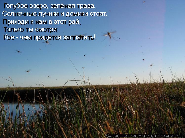 Котоматрица: Голубое озеро, зелёная трава. Солнечные лучики и домики стоят. Приходи к нам в этот рай, Только ты смотри: Кое - чем придётся заплатить!
