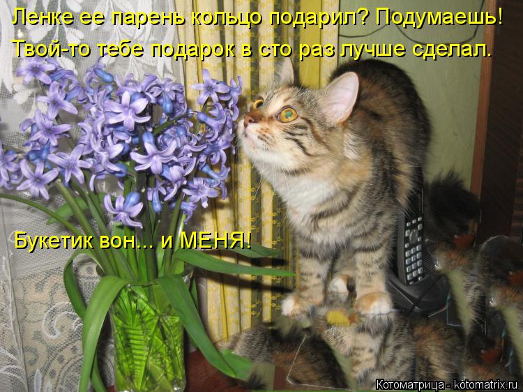 Котоматрица: Ленке ее парень кольцо подарил? Подумаешь! Твой-то тебе подарок в сто раз лучше сделал. Букетик вон... и МЕНЯ!