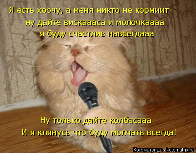 Я есть хоочу, а меня никто не кормиит ну дайте вискаааса и молочкаааа я буду счастлив навсегдааа Ну т... Котоматрица: Я есть хоочу, а меня никто не кормиит ну дайте вискаааса и молочкаааа я буду счастлив навсегдааа Ну только дайте колбасааа И я клянусь что б