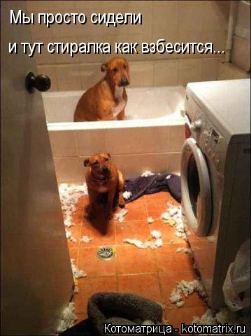 Котоматрица: Мы просто сидели  и тут стиралка как взбесится...