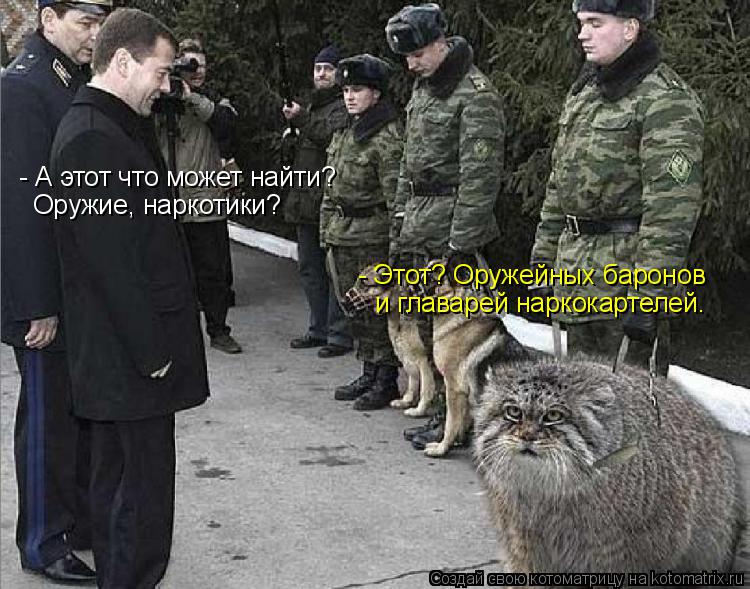 Котоматрица: - А этот что может найти? Оружие, наркотики? - Этот? Оружейных баронов и главарей наркокартелей.
