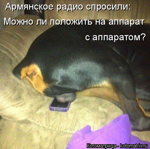 Котоматрица: Армянское радио спросили: Можно ли положить на аппарат  с аппаратом?