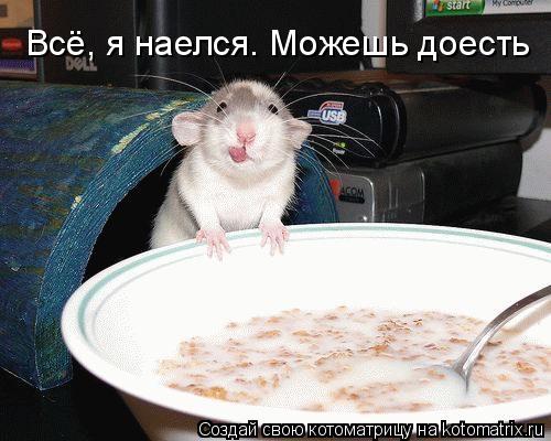 Котоматрица: Всё, я наелся. Можешь доесть