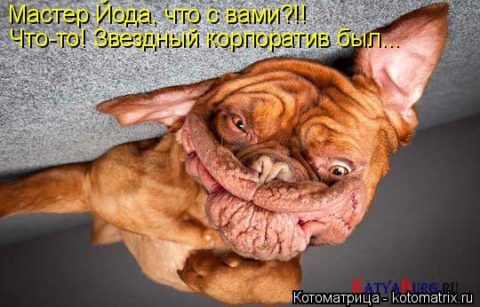 Мастер Йода, что с вами?!! Что-то! Звездный корпоратив был...... Котоматрица: Мастер Йода, что с вами?!! Что-то! Звездный корпоратив был...