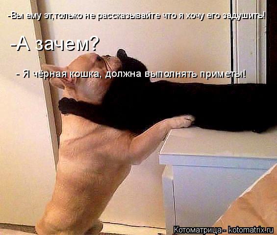 -Вы ему эт,только не рассказывайте что я хочу его задушить! -А зачем? - Я чёрная кошка, должна выполн... Котоматрица: -Вы ему эт,только не рассказывайте что я хочу его задушить! -А зачем? - Я чёрная кошка, должна выполнять приметы!