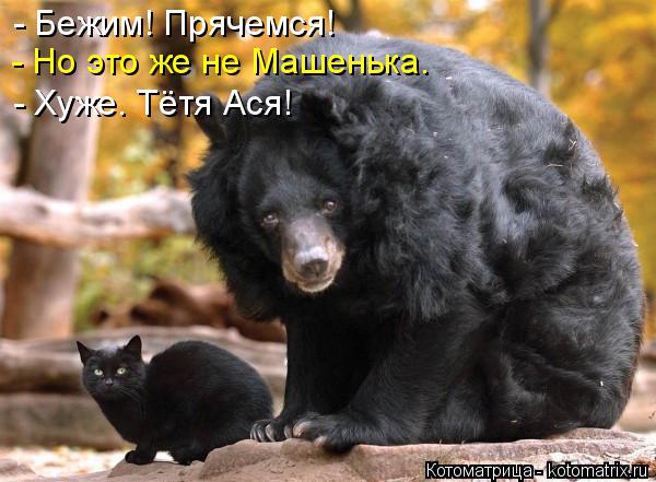 - Бежим! Прячемся! - Но это же не Машенька. - Хуже. Тётя Ася!... Котоматрица: - Бежим! Прячемся! - Но это же не Машенька. - Хуже. Тётя Ася!