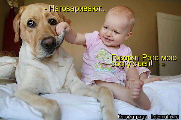 соску съел! - Говорят Рэкс мою - Наговаривают..... Котоматрица: соску съел! - Говорят Рэкс мою - Наговаривают..