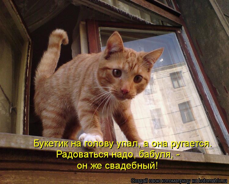 Букетик на голову упал, а она ругается. Радоваться надо, бабуля, - он же свадебный!... Котоматрица: Букетик на голову упал, а она ругается. Радоваться надо, бабуля, - он же свадебный!