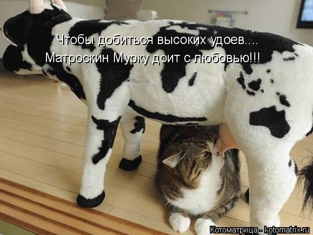 Чтобы добиться высоких удоев.... Матроскин Мурку доит с любовью!!!... Котоматрица: Чтобы добиться высоких удоев.... Матроскин Мурку доит с любовью!!!