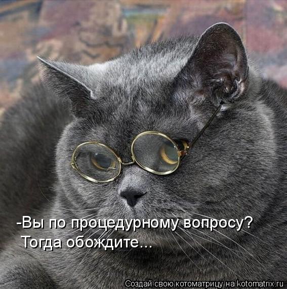 Котоматрица: -Вы по процедурному вопросу? Тогда обождите...