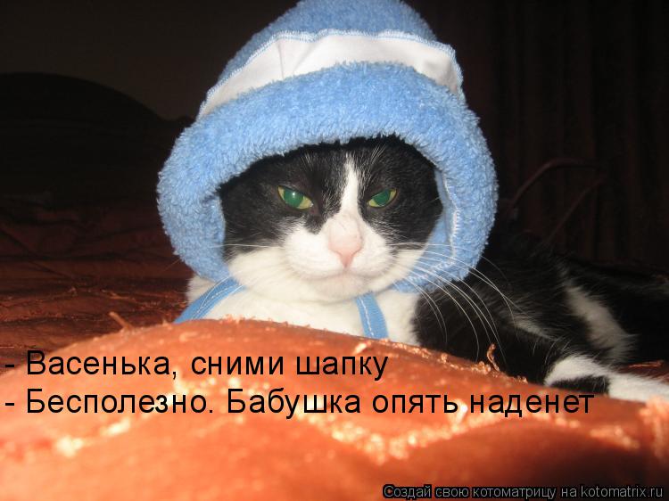 Котоматрица: - Васенька, сними шапку - Бесполезно. Бабушка опять наденет